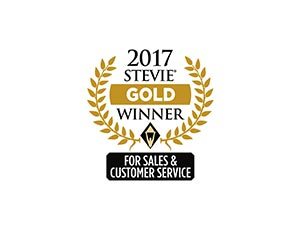 Stevies Award-Gold Award for Global Sales Team Of The Year